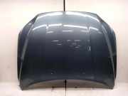 Motorhaube VOLVO V70 III (BW) 1.6 DRIVe / D2