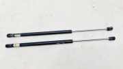 Heckklappe Gasdruckfeder rechts RENAULT GRAND SCÉNIC II (JM0/1_) 1.9 dCi (JM0G, JM12, JM1G, JM2C) 1101730