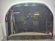 Motorhaube LAND ROVER RANGE ROVER EVOQUE (L538) 2.2 D