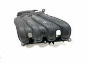 Ansaugbrücke NISSAN JUKE (F15) 1.6 1629