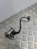 AdBlue Einspritzdüse RENAULT CLIO V (B7_) 1.3 TCe 130 (B7MF) 208995377R