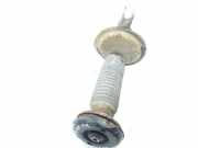 Stoßdämpfer vorne links