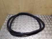 Türdichtung Audi Q5 (8R)