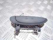 Türaußengriff hinten links