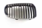 Kühlergrill oben BMW 5er Touring (E61) E509E362783U176