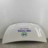 Motorhaube OPEL VIVARO Furgon 1.6 CDTI 93455832