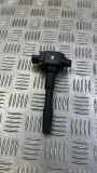 Zündspule RENAULT MEGANE III Hatchback (BZ0_) 1.2 TCe 224332428R