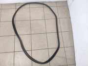 Türgummi links hinten Land Rover Discovery Sport (L550) FK72253A10A