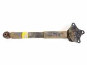 Stoßdämpfer rechts hinten Lexus RX 3 (L1) 4853148220