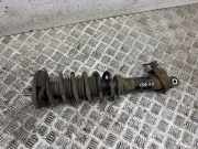 Stoßdämpfer hinten links PORSCHE 911 Targa (996) 3.6