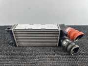 Ladeluftkühler PEUGEOT 3008 1.6 VTi 9656503480