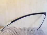 Türverkleidung vorne links VOLVO XC70 II D5 AWD