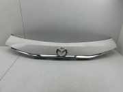 Kennzeichenbeleuchtung Verkleidung MAZDA 6 Estate (GH) 2.2 MZR-CD