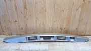 Kennzeichenbeleuchtung Verkleidung RENAULT SCÉNIC III (JZ0/1_) 1.6 dCi (JZ00, JZ12) 848100006R