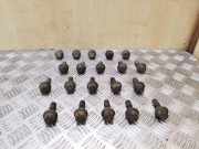 Schrauben NISSAN PRIMASTAR Furgon (X83) 2.0 dCi 115