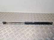 Heckklappe Gasdruckfeder links MERCEDES-BENZ A (W169) A 170 (169.032, 169.332) A1697400045
