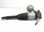 pneumatischer Stoßdämpfer hinten links