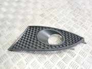 Kühlergrill unten Seat Altea (5P) 5P0853665