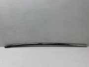 Dachleiste links CITROËN C5 AIRCROSS 1.6 Plug- In Hydrid 225 (A45GFR) 98169081VV
