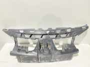 Vorderer oberer Gitter RENAULT LAGUNA II (BG0/1_) 1.6 16V (BG1G, BG1H) G000141905