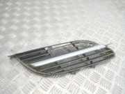 Vorderer oberer Gitter NISSAN ALMERA TINO (V10) 2.2 dCi