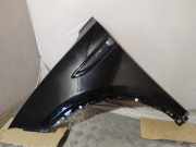 Kotflügel links vorne Jaguar E-Pace (X540)