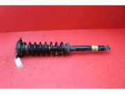 Stoßdämpfer links hinten Tesla Model S (5YJS) F4BE5J122W2