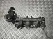 Ansaugbrücke NISSAN X-TRAIL (T30) 2.2 dCi NL0789