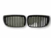 Gitter BMW 1 (E87) 118 i 7077129