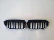 Gitter Grill vorne links BMW 3 Touring (G21) 320 d 7457037