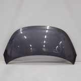 Motorhaube HYUNDAI i10 (PA) 1.2 66400B4000