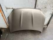 Motorhaube NISSAN QASHQAI / QASHQAI +2 I (J10, JJ10) 1.5 dCi