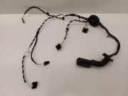 Türverkabelung hinten links VW PASSAT B8 (3G2) 2.0 TDI 4motion 4L0971841 3G0971693F