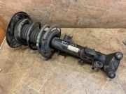 Stoßdämpfersatz Vorderachse Mercedes-Benz SLK (R172) A1723200630