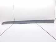 Türpolsterverkleidung hinten links AUDI A4 (8EC, B7) 2.0 TDI 8E0867420