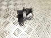 Riemenspanner SKODA FABIA II (542) 1.4 TDI