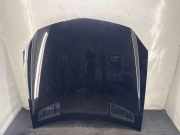 Motorhaube MERCEDES-BENZ SLK (R172) 250 CDI / d (172.403) 197