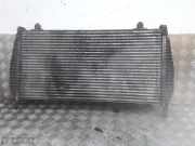 Ladeluftkühler Citroen C6 (T) 9646300980