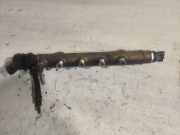 Einspritzleiste Kia Picanto 1 (SA) 0281002507