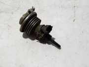 AdBlue Einspritzdüse RENAULT MASTER III Furgon (FV) 2.3 dCi 135 FWD 208993839R