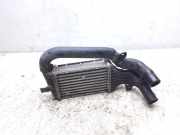 Ladeluftkühler OPEL ZAFIRA A (F75_) 2.0 DTI 16V 817740 24436438