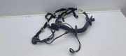 Kabel Tür vorne rechts RENAULT CLIO V (B7_) 1.3 TCe 130 (B7MF) 241242773R