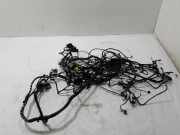 Innenkabelbaum (links) RENAULT ESPACE V (JR_) 1.6 dCi 160 241632084R