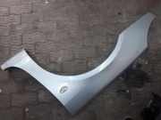 Kotflügel vorne links