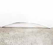 Dachleiste links TESLA MODEL 3 EV AWD 1083519-00-D