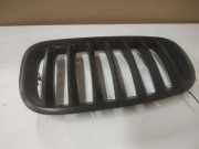 Kühlergrill komplett BMW X5 (E70)