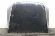 Motorhaube VW AMAROK (2H_, S1B) 2.0 BiTDI 4motion