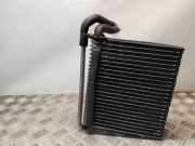 Klimaverdampfer Ford S-Max I (WA6)