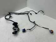 Türverkabelung hinten links CITROËN C3 II 1.2 THP 110 9815421880