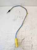 Abgastemperatursensor NISSAN X-TRAIL (T31) 2.0 dCi 8200941746